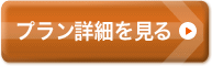 格安（JAL）東北フリープランの詳細を見る