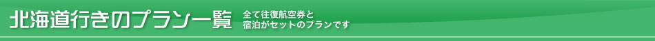 北海道行きのプラン一覧－全て往復航空券と宿泊がセットのプランです