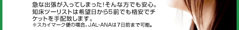 急な出張が入ってしまった！そんな方でも安心。知床ツーリストは希望日から５前でも格安でチケットを手配致します。※スカイマーク便の場合。JAL・ANAは10日前まで可能。