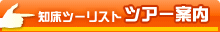 知床ツーリスト　ツアー案内
