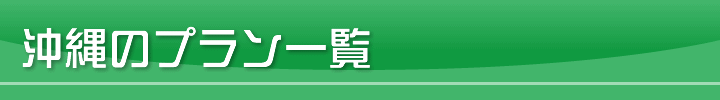 沖縄のプラン一覧